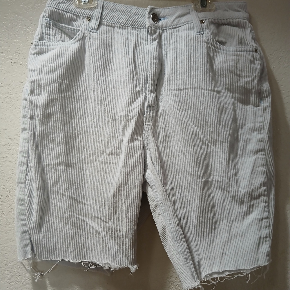 BDG Men's Light Gray Striped Jean Shorts